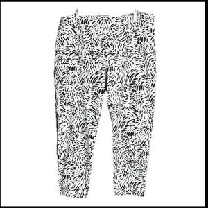 Hope & Harlow Size 16 Hi Rise White Black Women’s Cropped Stretch Pants